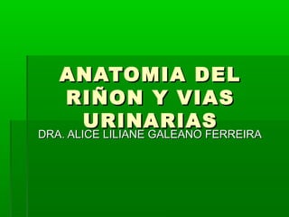ANATOMIA DELANATOMIA DEL
RIÑON Y VIASRIÑON Y VIAS
URINARIASURINARIAS
DRA. ALICE LILIANE GALEANO FERREIRADRA. ALICE LILIANE GALEANO FERREIRA
 