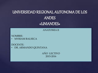 {
UNIVERSIDADREGIONAL AUTONOMA DE LOS
ANDES
«UNIANDES»
ANATOMIA II
NOMBRE:
• MYRIAM BALSECA
DOCENTE:
• DR. ARMANDO QUINTANA
AÑO LECTIVO
2015-2016
 
