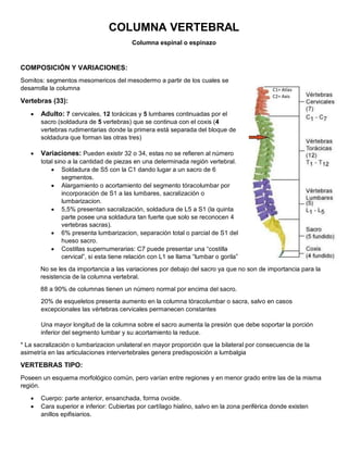 COLUMNA VERTEBRAL
Columna espinal o espinazo
COMPOSICIÓN Y VARIACIONES:
Somitos: segmentos mesomericos del mesodermo a partir de los cuales se
desarrolla la columna
Vertebras (33):
 Adulto: 7 cervicales, 12 torácicas y 5 lumbares continuadas por el
sacro (soldadura de 5 vertebras) que se continua con el coxis (4
vertebras rudimentarias donde la primera está separada del bloque de
soldadura que forman las otras tres)
 Variaciones: Pueden existir 32 o 34, estas no se refieren al número
total sino a la cantidad de piezas en una determinada región vertebral.
 Soldadura de S5 con la C1 dando lugar a un sacro de 6
segmentos.
 Alargamiento o acortamiento del segmento tóracolumbar por
incorporación de S1 a las lumbares, sacralización o
lumbarizacion.
 5,5% presentan sacralización, soldadura de L5 a S1 (la quinta
parte posee una soldadura tan fuerte que solo se reconocen 4
vertebras sacras).
 6% presenta lumbarizacion, separación total o parcial de S1 del
hueso sacro.
 Costillas supernumerarias: C7 puede presentar una “costilla
cervical”, si esta tiene relación con L1 se llama “lumbar o gorila”
No se les da importancia a las variaciones por debajo del sacro ya que no son de importancia para la
resistencia de la columna vertebral.
88 a 90% de columnas tienen un número normal por encima del sacro.
20% de esqueletos presenta aumento en la columna tóracolumbar o sacra, salvo en casos
excepcionales las vértebras cervicales permanecen constantes
Una mayor longitud de la columna sobre el sacro aumenta la presión que debe soportar la porción
inferior del segmento lumbar y su acortamiento la reduce.
* La sacralización o lumbarizacion unilateral en mayor proporción que la bilateral por consecuencia de la
asimetría en las articulaciones intervertebrales genera predisposición a lumbalgia
VERTEBRAS TIPO:
Poseen un esquema morfológico común, pero varían entre regiones y en menor grado entre las de la misma
región.
 Cuerpo: parte anterior, ensanchada, forma ovoide.
 Cara superior e inferior: Cubiertas por cartílago hialino, salvo en la zona periférica donde existen
anillos epifisiarios.
C1= Atlas
C2= Axis
 