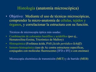 Histología  (anatomía microscópica) ,[object Object],[object Object],[object Object],[object Object],[object Object],[object Object]