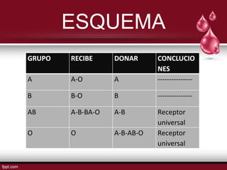 ESQUEMA
GRUPO   RECIBE     DONAR      CONCLUCIO
                              NES
A       A-O        A          ---------------

B       B-O        B          ---------------

AB      A-B-BA-O   A-B        Receptor
                              universal
O       O          A-B-AB-O   Receptor
                              universal
 