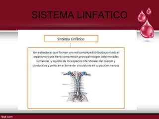 SISTEMA LINFATICO
 
