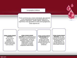 Los ganglios Linfaticos




                       Tienen una forma mas o menos redondeada, algo aplanada
                            y con unas dimenciones que se situan entre uno y
                         veinticinco milñimetros . pueden hallarse aislados en el
                       organismos o bien agrupados en varias zonas ganglionares.
                                           Estas regiones son:




ZONA GANGLIONAR            ZONA GANGLIONAR                ZONA GANGLIONAR           ZONA GANGLIONAR
     CERVICAL:         AXILAR:Es las noeplacias de la        EPITICLEAR: Su           INQUINAL: En esta
                       mama tiene mucha importancia           importancia es        zona es muy frecuente
   Es muy rica en
                         su exploracion , ya que su         escasa, pero suele       obserbar a presencia
     ganglios. su
                         afectacion indica un mayor        ser afectada por los        de ganglios mas o
    afectacion es
                           estado evolutivo de la         estados infecciosos de      menos grandes, sin
 frecuente tanto por
                            enfermedad y puede                 la mano y el          que ello traduzca una
 causa s infecciosas
                           condicionar una altitud              antebrazo.          enfermedad concreta.
   como tumores .
                         terapeutica determinada .
 