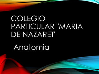 COLEGIO
PARTICULAR "MARIA
DE NAZARET"
Anatomia
 