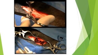 MEDICINA VETERINARIA Y ZOOTECNIA