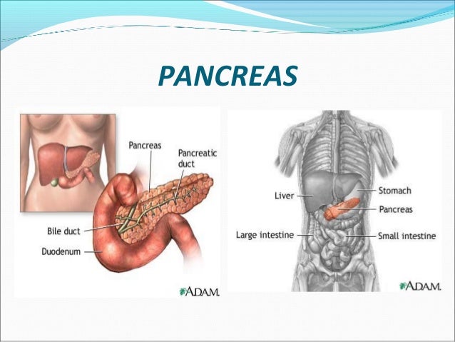 Cuántos días son posibles poner los bancos a la osteocondrosis