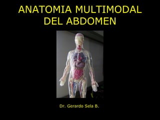 ANATOMIA MULTIMODAL
DEL ABDOMEN
Dr. Gerardo Sela B.
 