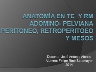 Docente: José Antonio Alonso
Alumno: Felipe Ríos Sotomayor
2014
 