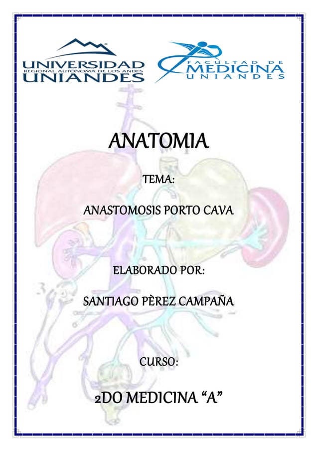 Anatomia anastomosis porto cava sdpc PDF Descarga Gratuita