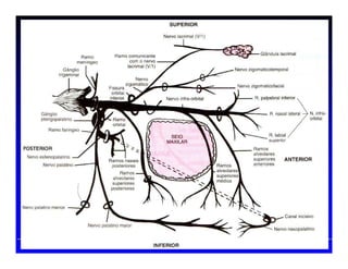 Prof. Peter Reher, CD, MSc, PhDProf. Peter Reher,Prof. Peter Reher, CD,CD, MScMSc,, PhDPhD
 
