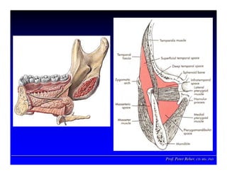 Prof. Peter Reher, CD, MSc, PhDProf. Peter Reher,Prof. Peter Reher, CD,CD, MScMSc,, PhDPhD
 