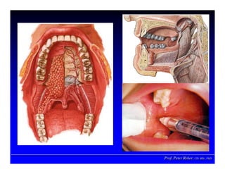 Prof. Peter Reher, CD, MSc, PhDProf. Peter Reher,Prof. Peter Reher, CD,CD, MScMSc,, PhDPhD
 