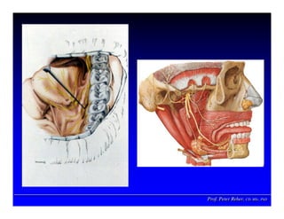 Prof. Peter Reher, CD, MSc, PhDProf. Peter Reher,Prof. Peter Reher, CD,CD, MScMSc,, PhDPhD
 
