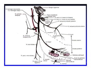 Prof. Peter Reher, CD, MSc, PhDProf. Peter Reher,Prof. Peter Reher, CD,CD, MScMSc,, PhDPhD
 