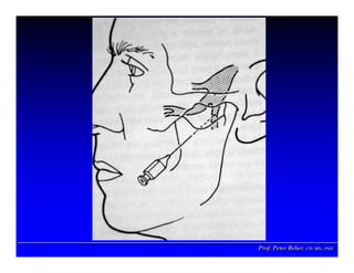 Prof. Peter Reher, CD, MSc, PhDProf. Peter Reher,Prof. Peter Reher, CD,CD, MScMSc,, PhDPhD
 