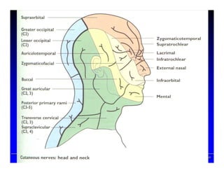 Prof. Peter Reher, CD, MSc, PhDProf. Peter Reher,Prof. Peter Reher, CD,CD, MScMSc,, PhDPhD
 