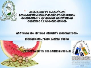 * UNIVERSIDAD DE EL SALVADOR
FACULTAD MULTIDISCIPLINARIA PARACENTRAL
DEPARTAMENTO DE CIENCIAS AGRONOMICAS
ANATOMIA Y FISIOLOGIA ANIMAL
ANATOMIA DEL SISTEMA DIGESTIVO MONOGASTRICO.
DOCENTE:DOC. PEDRO ALONSO PEREZ
PRESENTA: DEYSI DEL CARMEN MURILLO
 