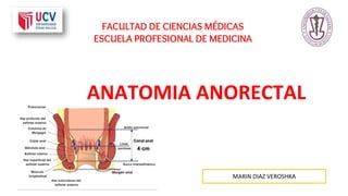 FACULTAD DE CIENCIAS MÉDICAS
ESCUELA PROFESIONAL DE MEDICINA
ANATOMIA ANORECTAL
MARIN DIAZ VEROSHKA
 