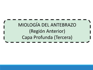 MIOLOGÍA DEL ANTEBRAZO
(Región Anterior)
Capa Profunda (Tercera)
 