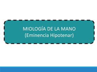 MIOLOGÍA DE LA MANO
(Eminencia Hipotenar)
 