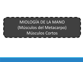 MIOLOGÍA DE LA MANO
(Músculos del Metacarpo)
Músculos Cortos
 
