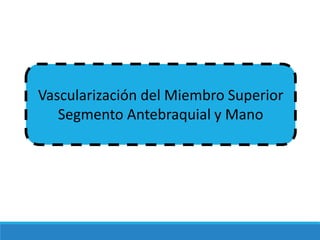 Vascularización del Miembro Superior
Segmento Antebraquial y Mano
 