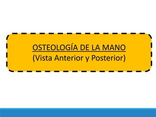 OSTEOLOGÍA DE LA MANO
(Vista Anterior y Posterior)
 