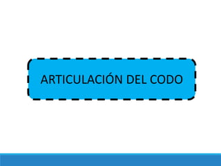 ARTICULACIÓN DEL CODO
 