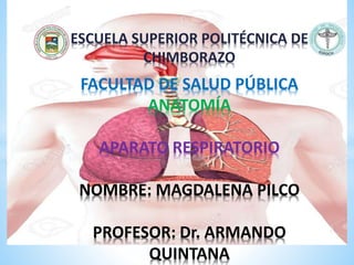 * ESCUELA SUPERIOR POLITÉCNICA DE
CHIMBORAZO
FACULTAD DE SALUD PÚBLICA
ANATOMÍA
APARATO RESPIRATORIO
NOMBRE: MAGDALENA PILCO
PROFESOR: Dr. ARMANDO
QUINTANA
 