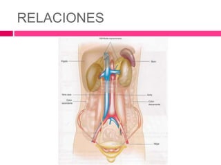 RELACIONES 
 