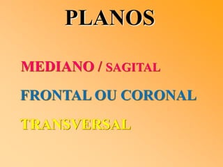 PLANOS
MEDIANO / SAGITAL
FRONTAL OU CORONAL
TRANSVERSAL
 