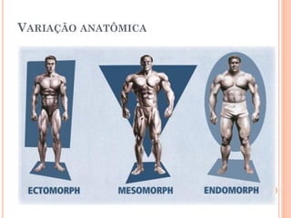 VARIAÇÃO ANATÔMICA
 