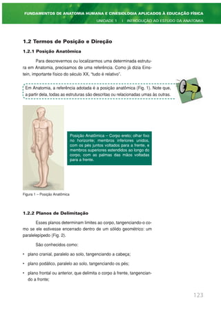 123
FUNDAMENTOS DE ANATOMIA HUMANA E CINESIOLOGIA APLICADOS À EDUCAÇÃO FÍSICA
UNIDADE 1 | INTRODUÇÃO AO ESTUDO DA ANATOMIA
1.2 Termos de Posição e Direção
1.2.1 Posição Anatômica
Para descrevermos ou localizarmos uma determinada estrutu-
ra em Anatomia, precisamos de uma referência. Como já dizia Eins-
tein, importante físico do século XX, “tudo é relativo”.
Figura 1 – Posição Anatômica
1.2.2 Planos de Delimitação
Esses planos determinam limites ao corpo, tangenciando-o co-
mo se ele estivesse encerrado dentro de um sólido geométrico: um
paralelepípedo (Fig. 2).
São conhecidos como:
• plano cranial, paralelo ao solo, tangenciando a cabeça;
• plano podálico, paralelo ao solo, tangenciando os pés;
• plano frontal ou anterior, que delimita o corpo à frente, tangencian-
do a fronte;
Posição Anatômica – Corpo ereto; olhar fixo
no horizonte; membros inferiores unidos,
com os pés juntos voltados para a frente, e
membros superiores estendidos ao longo do
corpo, com as palmas das mãos voltadas
para a frente.
Em Anatomia, a referência adotada é a posição anatômica (Fig. 1). Note que,
a partir dela, todas as estruturas são descritas ou relacionadas umas às outras.
 