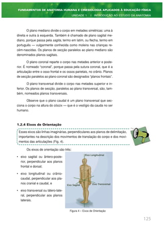 125
FUNDAMENTOS DE ANATOMIA HUMANA E CINESIOLOGIA APLICADOS À EDUCAÇÃO FÍSICA
UNIDADE 1 | INTRODUÇÃO AO ESTUDO DA ANATOMIA
O plano mediano divide o corpo em metades simétricas: uma à
direita e outra à esquerda. Também é chamado de plano sagital me-
diano, porque passa pela sagita, termo em latim, ou flecha, termo em
português — vulgarmente conhecida como moleira nas crianças re-
cém-nascidas. Os planos de secção paralelos ao plano mediano são
denominados planos sagitais.
O plano coronal reparte o corpo nas metades anterior e poste-
rior. É nomeado “coronal”, porque passa pela sutura coronal, que é a
articulação entre o osso frontal e os ossos parietais, no crânio. Planos
de secção paralelos ao plano coronal são designados “planos frontais”.
O plano transversal divide o corpo nas metades superior e in-
ferior. Os planos de secção, paralelos ao plano transversal, são, tam-
bém, nomeados planos transversais.
Observe que o plano caudal é um plano transversal que sec-
ciona o corpo na altura do cóccix — que é o vestígio da cauda no ser
humano.
1.2.4 Eixos de Orientação
Os eixos de orientação são três:
• eixo sagital ou ântero-poste-
rior, perpendicular aos planos
frontal e dorsal;
• eixo longitudinal ou crânio-
caudal, perpendicular aos pla-
nos cranial e caudal, e
• eixo transversal ou látero-late-
ral, perpendicular aos planos
laterais.
Figura 4 – Eixos de Orientação
Esses eixos são linhas imaginárias, perpendiculares aos planos de delimitação,
importantes na descrição dos movimentos de translação do corpo e dos movi-
mentos das articulações (Fig. 4).
 