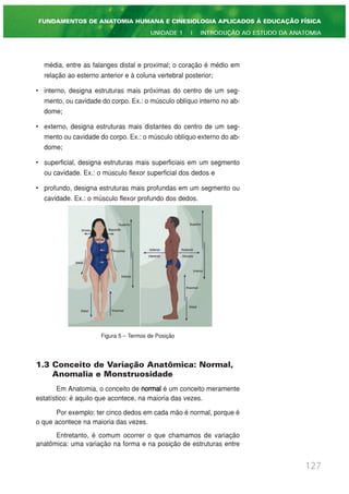 média, entre as falanges distal e proximal; o coração é médio em
relação ao esterno anterior e à coluna vertebral posterior;
• interno, designa estruturas mais próximas do centro de um seg-
mento, ou cavidade do corpo. Ex.: o músculo oblíquo interno no ab-
dome;
• externo, designa estruturas mais distantes do centro de um seg-
mento ou cavidade do corpo. Ex.: o músculo oblíquo externo do ab-
dome;
• superficial, designa estruturas mais superficiais em um segmento
ou cavidade. Ex.: o músculo flexor superficial dos dedos e
• profundo, designa estruturas mais profundas em um segmento ou
cavidade. Ex.: o músculo flexor profundo dos dedos.
Figura 5 – Termos de Posição
1.3 Conceito de Variação Anatômica: Normal,
Anomalia e Monstruosidade
Em Anatomia, o conceito de normal é um conceito meramente
estatístico: é aquilo que acontece, na maioria das vezes.
Por exemplo: ter cinco dedos em cada mão é normal, porque é
o que acontece na maioria das vezes.
Entretanto, é comum ocorrer o que chamamos de variação
anatômica: uma variação na forma e na posição de estruturas entre
127
FUNDAMENTOS DE ANATOMIA HUMANA E CINESIOLOGIA APLICADOS À EDUCAÇÃO FÍSICA
UNIDADE 1 | INTRODUÇÃO AO ESTUDO DA ANATOMIA
 