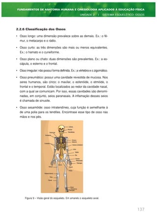 2.2.6 Classificação dos Ossos
• Osso longo: uma dimensão prevalece sobre as demais. Ex.: o fê-
mur, o metacarpo e o rádio.
• Osso curto: as três dimensões são mais ou menos equivalentes.
Ex.: o hamato e o cuneiforme.
• Osso plano ou chato: duas dimensões são prevalentes. Ex.: a es-
cápula, o esterno e o frontal.
• Osso irregular: não possui forma definida. Ex.: a vértebra e o zigomático.
• Osso pneumático: possui uma cavidade revestida de mucosa. Nos
seres humanos, são cinco: o maxilar, o esfenóide, o etmóide, o
frontal e o temporal. Estão localizados ao redor da cavidade nasal,
com a qual se comunicam. Por isso, essas cavidades são denomi-
nadas, em conjunto, seios paranasais. A inflamação desses seios
é chamada de sinusite.
• Osso sesamóide: osso intratendíneo, cuja função é semelhante à
de uma polia para os tendões. Encontrase esse tipo de osso nas
mãos e nos pés.
Figura 9 – Visão geral do esqueleto. Em amarelo o esqueleto axial.
137
FUNDAMENTOS DE ANATOMIA HUMANA E CINESIOLOGIA APLICADOS À EDUCAÇÃO FÍSICA
UNIDADE 2 | SISTEMA ESQUELÉTICO: OSSOS
 