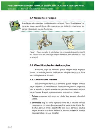 3.1 Conceito e Função
Figura 1 – Alguns exemplos de articulações. Esq.: articulação do quadril, entre o fê-
mur e o osso coxal. Dir.: articulação temporo-mandibular, entre a mandíbula e o os-
so temporal.
3.2 Classificação das Articulações
Conforme o tipo de elemento que se interpõe entre as peças
ósseas, as articulações são divididas em três grandes grupos: fibro-
sas, cartilaginosas e sinoviais.
3.2.1 Articulações Fibrosas
Nas articulações fibrosas, o elemento que se interpõe entre as
peças ósseas é um tecido fibroso. Essas articulações são projetadas
para a resistência e praticamente não permitem movimento entre as
peças ósseas. A seguir, apresentaremos as suas três divisões.
• Suturas: presentes, sobretudo, no crânio. Veja as suas três subdi-
visões.
a) Serrilhadas (Fig. 2): como o próprio nome diz, o encaixe entre os
ossos ocorre por meio de uma superfície bastante serrilhada. Ex.:
a sutura coronal, entre o osso frontal e os ossos parietais; a sutura
sagital, entre os dois ossos parietais, e a sutura lambdóide, entre os
ossos parietais e o osso occipital.
140
FUNDAMENTOS DE ANATOMIA HUMANA E CINESIOLOGIA APLICADOS À EDUCAÇÃO FÍSICA
UNIDADE 3 | SISTEMA ESQUELÉTICO: ARTICULAÇÕES
Articulações são conexões funcionais entre os ossos. Têm a finalidade de co-
nectar os ossos, permitindo ou não movimentos, ou limitando movimentos em
planos indesejáveis ou não-funcionais.
 