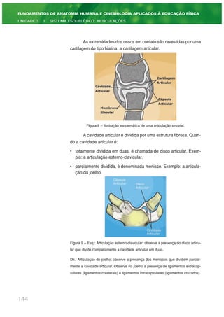 As extremidades dos ossos em contato são revestidas por uma
cartilagem do tipo hialina: a cartilagem articular.
Figura 8 – Ilustração esquemática de uma articulação sinovial.
A cavidade articular é dividida por uma estrutura fibrosa. Quan-
do a cavidade articular é:
• totalmente dividida em duas, é chamada de disco articular. Exem-
plo: a articulação esterno-clavicular.
• parcialmente dividida, é denominada menisco. Exemplo: a articula-
ção do joelho.
Figura 9 – Esq.: Articulação esterno-clavicular: observe a presença do disco articu-
lar que divide completamente a cavidade articular em duas.
Dir.: Articulação do joelho: observe a presença dos meniscos que dividem parcial-
mente a cavidade articular. Observe no joelho a presença de ligamentos extracap-
sulares (ligamentos colaterais) e ligamentos intracapsulares (ligamentos cruzados).
144
FUNDAMENTOS DE ANATOMIA HUMANA E CINESIOLOGIA APLICADOS À EDUCAÇÃO FÍSICA
UNIDADE 3 | SISTEMA ESQUELÉTICO: ARTICULAÇÕES
 