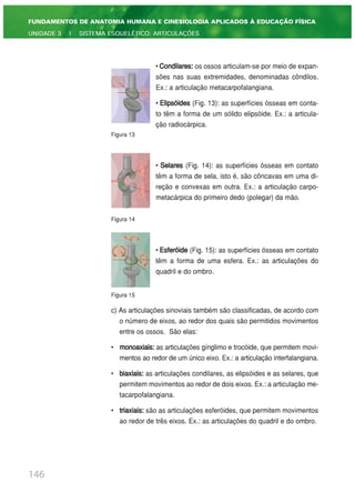 • Condilares: os ossos articulam-se por meio de expan-
sões nas suas extremidades, denominadas côndilos.
Ex.: a articulação metacarpofalangiana.
• Elipsóides (Fig. 13): as superfícies ósseas em conta-
to têm a forma de um sólido elipsóide. Ex.: a articula-
ção radiocárpica.
Figura 13
• Selares (Fig. 14): as superfícies ósseas em contato
têm a forma de sela, isto é, são côncavas em uma di-
reção e convexas em outra. Ex.: a articulação carpo-
metacárpica do primeiro dedo (polegar) da mão.
Figura 14
• Esferóide (Fig. 15): as superfícies ósseas em contato
têm a forma de uma esfera. Ex.: as articulações do
quadril e do ombro.
Figura 15
c) As articulações sinoviais também são classificadas, de acordo com
o número de eixos, ao redor dos quais são permitidos movimentos
entre os ossos. São elas:
• monoaxiais: as articulações gínglimo e trocóide, que permitem movi-
mentos ao redor de um único eixo. Ex.: a articulação interfalangiana.
• biaxiais: as articulações condilares, as elipsóides e as selares, que
permitem movimentos ao redor de dois eixos. Ex.: a articulação me-
tacarpofalangiana.
• triaxiais: são as articulações esferóides, que permitem movimentos
ao redor de três eixos. Ex.: as articulações do quadril e do ombro.
146
FUNDAMENTOS DE ANATOMIA HUMANA E CINESIOLOGIA APLICADOS À EDUCAÇÃO FÍSICA
UNIDADE 3 | SISTEMA ESQUELÉTICO: ARTICULAÇÕES
 