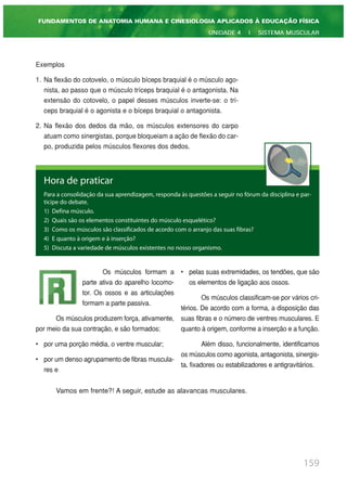 Exemplos
1. Na flexão do cotovelo, o músculo bíceps braquial é o músculo ago-
nista, ao passo que o músculo tríceps braquial é o antagonista. Na
extensão do cotovelo, o papel desses músculos inverte-se: o trí-
ceps braquial é o agonista e o bíceps braquial o antagonista.
2. Na flexão dos dedos da mão, os músculos extensores do carpo
atuam como sinergistas, porque bloqueiam a ação de flexão do car-
po, produzida pelos músculos flexores dos dedos.
159
FUNDAMENTOS DE ANATOMIA HUMANA E CINESIOLOGIA APLICADOS À EDUCAÇÃO FÍSICA
UNIDADE 4 | SISTEMA MUSCULAR
Hora de praticar
Para a consolidação da sua aprendizagem, responda às questões a seguir no fórum da disciplina e par-
ticipe do debate.
1) Defina músculo.
2) Quais são os elementos constituintes do músculo esquelético?
3) Como os músculos são classificados de acordo com o arranjo das suas fibras?
4) E quanto à origem e à inserção?
5) Discuta a variedade de músculos existentes no nosso organismo.
Os músculos formam a
parte ativa do aparelho locomo-
tor. Os ossos e as articulações
formam a parte passiva.
Os músculos produzem força, ativamente,
por meio da sua contração, e são formados:
• por uma porção média, o ventre muscular;
• por um denso agrupamento de fibras muscula-
res e
• pelas suas extremidades, os tendões, que são
os elementos de ligação aos ossos.
Os músculos classificam-se por vários cri-
térios. De acordo com a forma, a disposição das
suas fibras e o número de ventres musculares. E
quanto à origem, conforme a inserção e a função.
Além disso, funcionalmente, identificamos
os músculos como agonista, antagonista, sinergis-
ta, fixadores ou estabilizadores e antigravitários.
Vamos em frente?! A seguir, estude as alavancas musculares.
 