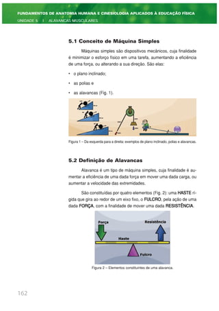 5.1 Conceito de Máquina Simples
Máquinas simples são dispositivos mecânicos, cuja finalidade
é minimizar o esforço físico em uma tarefa, aumentando a eficiência
de uma força, ou alterando a sua direção. São elas:
• o plano inclinado;
• as polias e
• as alavancas (Fig. 1).
Figura 1 – Da esquerda para a direita: exemplos de plano inclinado, polias e alavancas.
5.2 Definição de Alavancas
Alavanca é um tipo de máquina simples, cuja finalidade é au-
mentar a eficiência de uma dada força em mover uma dada carga, ou
aumentar a velocidade das extremidades.
São constituídas por quatro elementos (Fig. 2): uma HASTE rí-
gida que gira ao redor de um eixo fixo, o FULCRO, pela ação de uma
dada FORÇA, com a finalidade de mover uma dada RESISTÊNCIA.
Figura 2 – Elementos constituintes de uma alavanca.
162
FUNDAMENTOS DE ANATOMIA HUMANA E CINESIOLOGIA APLICADOS À EDUCAÇÃO FÍSICA
UNIDADE 5 | ALAVANCAS MUSCULARES
 