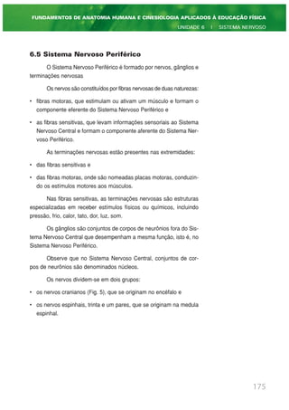 6.5 Sistema Nervoso Periférico
O Sistema Nervoso Periférico é formado por nervos, gânglios e
terminações nervosas
Os nervos são constituídos por fibras nervosas de duas naturezas:
• fibras motoras, que estimulam ou ativam um músculo e formam o
componente eferente do Sistema Nervoso Periférico e
• as fibras sensitivas, que levam informações sensoriais ao Sistema
Nervoso Central e formam o componente aferente do Sistema Ner-
voso Periférico.
As terminações nervosas estão presentes nas extremidades:
• das fibras sensitivas e
• das fibras motoras, onde são nomeadas placas motoras, conduzin-
do os estímulos motores aos músculos.
Nas fibras sensitivas, as terminações nervosas são estruturas
especializadas em receber estímulos físicos ou químicos, incluindo
pressão, frio, calor, tato, dor, luz, som.
Os gânglios são conjuntos de corpos de neurônios fora do Sis-
tema Nervoso Central que desempenham a mesma função, isto é, no
Sistema Nervoso Periférico.
Observe que no Sistema Nervoso Central, conjuntos de cor-
pos de neurônios são denominados núcleos.
Os nervos dividem-se em dois grupos:
• os nervos cranianos (Fig. 5), que se originam no encéfalo e
• os nervos espinhais, trinta e um pares, que se originam na medula
espinhal.
175
FUNDAMENTOS DE ANATOMIA HUMANA E CINESIOLOGIA APLICADOS À EDUCAÇÃO FÍSICA
UNIDADE 6 | SISTEMA NERVOSO
 