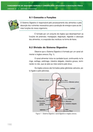 9.1 Conceito e Funções
É formado por um conjunto de órgãos que desempenham as
funções de preensão; mastigação; deglutição; digestão e absorção
dos alimentos, e a expulsão dos resíduos na forma de fezes.
9.2 Divisão do Sistema Digestivo
Observe que o Sistema Digestivo é formado por um canal ali-
mentar e órgãos anexos (Fig. 1).
O canal alimentar inicia na cavidade bucal, continuando na fa-
ringe, esôfago, estômago, intestino delgado, intestino grosso, termi-
nando no reto, que se abre ao meio externo pelo ânus.
Os órgãos anexos são formados pelas glândulas salivares, pe-
lo fígado e pelo pâncreas.
Figura 1 – Sistema Digestivo: canal digestivo e órgãos anexos.
190
FUNDAMENTOS DE ANATOMIA HUMANA E CINESIOLOGIA APLICADOS À EDUCAÇÃO FÍSICA
UNIDADE 9 | SISTEMA DIGESTIVO
O Sistema Digestivo é responsável pelo processamento dos alimentos e pela
absorção dos nutrientes necessários para a produção de energia e para as de-
mais funções do nosso organismo.
 