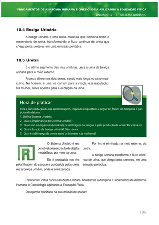 10.4 Bexiga Urinária
A bexiga urinária é uma bolsa muscular que funciona como o
reservatório de urina, transformando o fluxo contínuo de urina que
chega pelos ureteres em uma emissão periódica.
10.5 Uretra
É o último segmento das vias urinárias. Leva a urina da bexiga
urinária para o meio externo.
A uretra difere nos dois sexos, sendo mais longa no sexo mas-
culino. No homem, é uma via comum para a micção e a ejaculação.
Na mulher, serve apenas para a excreção da urina.
199
FUNDAMENTOS DE ANATOMIA HUMANA E CINESIOLOGIA APLICADOS À EDUCAÇÃO FÍSICA
UNIDADE 10 | SISTEMA URINÁRIO
Hora de praticar
Para a consolidação da sua aprendizagem, responda às questões a seguir no fórum da disciplina e par-
ticipe do debate.
1) Defina Sistema Urinário.
2) Qual a importância do Sistema Urinário?
3) Quais são os órgãos responsáveis pela filtragem do sangue e pela produção da urina? Descreva-os.
4) Qual a função da bexiga urinária? Descreva-a.
5) Qual é a diferença da uretra entre os homens e as mulheres?
O Sistema Urinário é res-
ponsável pela excreção de dejetos
metabólicos, por meio da urina.
Ela é produzida nos rins
pela filtragem do sangue e conduzida pelos urete-
res à bexiga urinária, onde é armazenada.
Por fim, é eliminada no meio externo, via
uretra.
A bexiga urinária transforma o fluxo contí-
nuo de urina, que chega pelos ureteres, em uma
emissão periódica.
Parabéns! Com a conclusão desta Unidade, finalizamos a disciplina Fundamentos de Anatomia
Humana e Cinesiologia Aplicados à Educação Física.
Desejamos felicidade na sua missão de educar!
 
