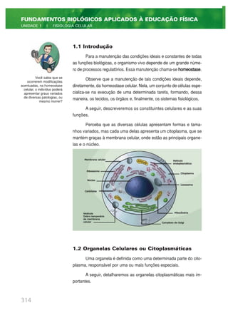 1.1 Introdução
Para a manutenção das condições ideais e constantes de todas
as funções biológicas, o organismo vivo depende de um grande núme-
ro de processos regulatórios. Essa manutenção chama-se homeostase.
Observe que a manutenção de tais condições ideais depende,
diretamente, da homeostase celular. Nela, um conjunto de células espe-
cializa-se na execução de uma determinada tarefa, formando, dessa
maneira, os tecidos, os órgãos e, finalmente, os sistemas fisiológicos.
A seguir, descreveremos os constituintes celulares e as suas
funções.
Perceba que as diversas células apresentam formas e tama-
nhos variados, mas cada uma delas apresenta um citoplasma, que se
mantém graças à membrana celular, onde estão as principais organe-
las e o núcleo.
1.2 Organelas Celulares ou Citoplasmáticas
Uma organela é definida como uma determinada parte do cito-
plasma, responsável por uma ou mais funções especiais.
A seguir, detalharemos as organelas citoplasmáticas mais im-
portantes.
314
FUNDAMENTOS BIOLÓGICOS APLICADOS À EDUCAÇÃO FÍSICA
UNIDADE 1 | FISIOLOGIA CELULAR
Você sabia que se
ocorrerem modificações
acentuadas, na homeostase
celular, o indivíduo poderá
apresentar graus variados
de diversas patologias, ou
mesmo morrer?
 