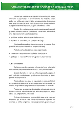 Perceba que o aparelho de Golgi tem múltiplas funções, sendo
importante na separação e no endereçamento das moléculas sinteti-
zadas nas células, ao encaminhá-las para as vesículas de secreção
(que serão expulsas da célula), para os lisossomos, para as vesículas
que permanecem no citoplasma, ou para a membrana celular.
Estudos têm mostrado que as membranas do aparelho de Gol-
gi podem, também, sintetizar carboidratos. Desse modo, a síntese de
uma glicoproteína tem duas fases distintas:
• a síntese protéica, pelo retículo endoplasmático, e
• a síntese do carboidrato pelo Complexo de Golgi.
A conjugação do carboidrato com a proteína, formando a glico-
proteína, tem lugar nos sáculos do complexo de Golgi.
Portanto, as funções básicas dessa organela são:
• concentrar e armazenar as substâncias sintetizadas e
• participar no processo final de conjugação de glicoproteínas.
1.2.4 Lisossomo
Os lisossomos são organelas esféricas de forma e tamanho
muito variável, freqüentemente medindo 0,5 a 3,0 µm de diâmetro.
Eles são depósitos de enzimas, utilizadas pelas células para di-
gerir moléculas introduzidas por pinocitose, por fagocitose, ou por or-
ganelas da própria célula.
A destruição e a renovação de organelas é um processo fisiológi-
co que permite à célula manter os seus componentes em bom estado fun-
cional e em quantidade adequada às suas necessidades do momento.
Perceba que as organelas desgastadas pelo uso são elimina-
das e substituídas por organelas novas. As que não são mais neces-
sárias são, simplesmente, removidas.
O número de lisossomos em uma célula pode variar muito, em
função do tipo de célula e em certas circunstâncias especiais. Por
exemplo, as células sangüíneas brancas apresentam, geralmente, um
317
FUNDAMENTOS BIOLÓGICOS APLICADOS À EDUCAÇÃO FÍSICA
UNIDADE 1 | FISIOLOGIA CELULAR
 