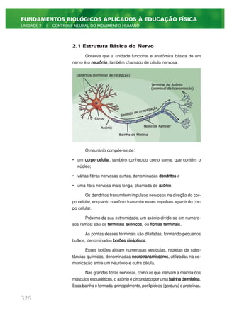 2.1 Estrutura Básica do Nervo
Observe que a unidade funcional e anatômica básica de um
nervo é o neurônio, também chamado de célula nervosa.
O neurônio compõe-se de:
• um corpo celular, também conhecido como soma, que contém o
núcleo;
• várias fibras nervosas curtas, denominadas dendritos e
• uma fibra nervosa mais longa, chamada de axônio.
Os dendritos transmitem impulsos nervosos na direção do cor-
po celular, enquanto o axônio transmite esses impulsos a partir do cor-
po celular.
Próximo da sua extremidade, um axônio divide-se em numero-
sos ramos: são os terminais axônicos, ou fibrilas terminais.
As pontas desses terminais são dilatadas, formando pequenos
bulbos, denominados botões sinápticos.
Esses botões alojam numerosas vesículas, repletas de subs-
tâncias químicas, denominadas neurotransmissores, utilizadas na co-
municação entre um neurônio e outra célula.
Nas grandes fibras nervosas, como as que inervam a maioria dos
músculos esqueléticos, o axônio é circundado por uma bainhademielina.
Essa bainha é formada, principalmente, por lipídeos (gordura) e proteínas.
326
FUNDAMENTOS BIOLÓGICOS APLICADOS À EDUCAÇÃO FÍSICA
UNIDADE 2 | CONTROLE NEURAL DO MOVIMENTO HUMANO
 