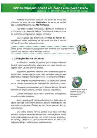 As fibras nervosas que possuem uma bainha de mielina são
chamadas de fibras nervosas mielinizadas e as isentas de bainhas
são nomeadas fibras nervosas não-mielinizadas.
Nas fibras nervosas mielinizadas, a bainha de mielina não é
contínua em toda a extensão da fibra. Essa bainha aparece na forma
de segmentos, com pequenos espaços entre eles.
Esses espaços são denominados nódulos de Ranvier. De-
sempenham papéis importantes na velocidade com que o impulso
nervoso é transmitido ao longo do axônio.
2.2 Função Básica do Nervo
A informação, enviada da periferia para o Sistema Nervoso
Central, pelos nervos aferentes, relaciona-se com vários tipos de sen-
sações: calor; luz; tato; cheiro e pressão.
As conexões dos nervos sensoriais com o Sistema Nervoso Cen-
tral permitem que percebamos essas várias sensações e servem para
desencadear respostas motoras apropriadas sob certas circunstâncias.
Para completar essa resposta reflexa, são necessários também
nervos motores, provenientes dos motoneurônios (neurônios motores).
Os nervos motores originam-se no Sistema Nervoso Central e
terminam em órgãos efetores, como os músculos esqueléticos.
Quando estimulados, esses nervos acarretam a contração dos
músculos por eles inervados.
Assim, quando você coloca acidentalmente o dedo sobre um
objeto aquecido, os receptores sensíveis ao calor localizados na pele
enviam informação para o Sistema Nervoso Central, por meio dos ner-
vos sensoriais.
Uma vez no Sistema Nervoso Central, nesse caso, na medula
espinhal, os nervos sensoriais retransmitem a informação aos nervos
motores apropriados que, por sua vez, enviam impulsos aos múscu-
los do braço. Desse modo, os músculos contraem-se e o dedo é reti-
rado automática e rapidamente do objeto aquecido.
327
FUNDAMENTOS BIOLÓGICOS APLICADOS À EDUCAÇÃO FÍSICA
UNIDADE 2 | CONTROLE NEURAL DO MOVIMENTO HUMANO
Note que os impulsos nervosos passam dos dendritos para o corpo celular e
desse para o axônio, até os terminais axônicos.
A retirada reflexa rápida de
seu dedo de uma vela
acesa é um exemplo de
resposta motora
apropriada.
 