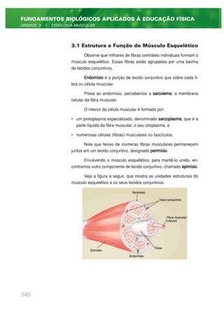 3.1 Estrutura e Função do Músculo Esquelético
Observe que milhares de fibras contráteis individuais formam o
músculo esquelético. Essas fibras estão agrupadas por uma bainha
de tecidos conjuntivos.
Endomísio é a porção de tecido conjuntivo que cobre cada fi-
bra ou célula muscular.
Presa ao endomísio, percebemos a sarcolema: a membrana
celular da fibra muscular.
O interior da célula muscular é formado por:
• um protoplasma especializado, denominado sarcoplasma, que é a
parte líquida da fibra muscular, o seu citoplasma, e
• numerosas células (fibras) musculares ou fascículos.
Note que feixes de inúmeras fibras musculares permanecem
juntos em um tecido conjuntivo, designado perimísio.
Envolvendo o músculo esquelético, para mantê-lo unido, en-
contramos outro componente de tecido conjuntivo, chamado epimísio.
Veja a figura a seguir, que mostra as unidades estruturais do
músculo esquelético e os seus tecidos conjuntivos.
340
FUNDAMENTOS BIOLÓGICOS APLICADOS À EDUCAÇÃO FÍSICA
UNIDADE 3 | FISIOLOGIA MUSCULAR
 