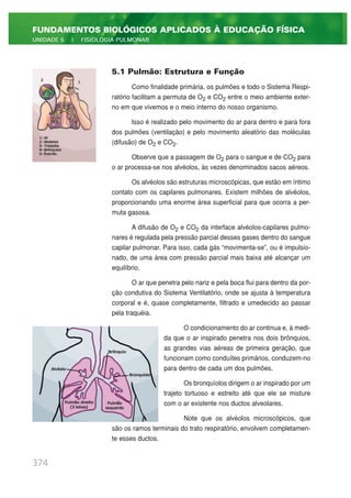 5.1 Pulmão: Estrutura e Função
Como finalidade primária, os pulmões e todo o Sistema Respi-
ratório facilitam a permuta de O2 e CO2 entre o meio ambiente exter-
no em que vivemos e o meio interno do nosso organismo.
Isso é realizado pelo movimento do ar para dentro e para fora
dos pulmões (ventilação) e pelo movimento aleatório das moléculas
(difusão) de O2 e CO2.
Observe que a passagem de O2 para o sangue e de CO2 para
o ar processa-se nos alvéolos, às vezes denominados sacos aéreos.
Os alvéolos são estruturas microscópicas, que estão em íntimo
contato com os capilares pulmonares. Existem milhões de alvéolos,
proporcionando uma enorme área superficial para que ocorra a per-
muta gasosa.
A difusão de O2 e CO2 da interface alvéolos-capilares pulmo-
nares é regulada pela pressão parcial desses gases dentro do sangue
capilar pulmonar. Para isso, cada gás “movimenta-se”, ou é impulsio-
nado, de uma área com pressão parcial mais baixa até alcançar um
equilíbrio.
O ar que penetra pelo nariz e pela boca flui para dentro da por-
ção condutiva do Sistema Ventilatório, onde se ajusta à temperatura
corporal e é, quase completamente, filtrado e umedecido ao passar
pela traquéia.
O condicionamento do ar continua e, à medi-
da que o ar inspirado penetra nos dois brônquios,
as grandes vias aéreas de primeira geração, que
funcionam como conduítes primários, conduzem-no
para dentro de cada um dos pulmões.
Os bronquíolos dirigem o ar inspirado por um
trajeto tortuoso e estreito até que ele se misture
com o ar existente nos ductos alveolares.
Note que os alvéolos microscópicos, que
são os ramos terminais do trato respiratório, envolvem completamen-
te esses ductos.
374
FUNDAMENTOS BIOLÓGICOS APLICADOS À EDUCAÇÃO FÍSICA
UNIDADE 5 | FISIOLOGIA PULMONAR
 